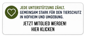 mitglied-werden